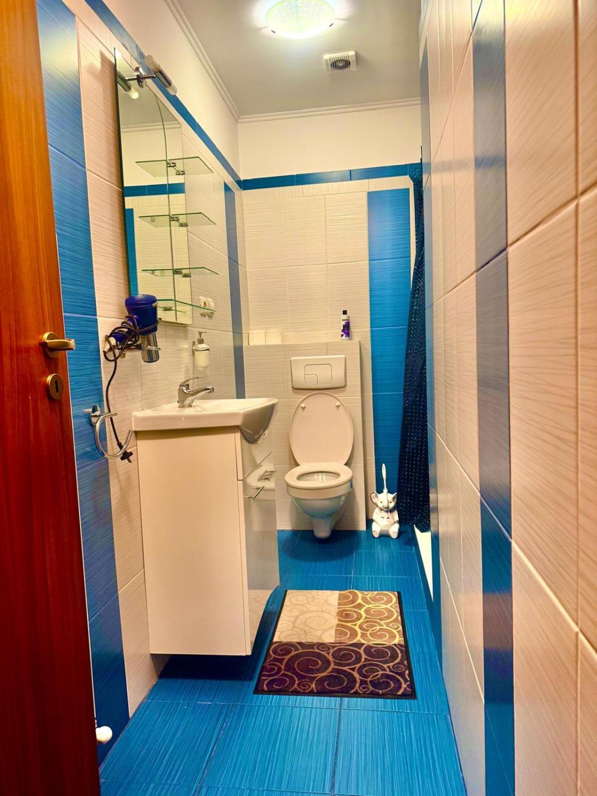 Dodi House * Timişoara
