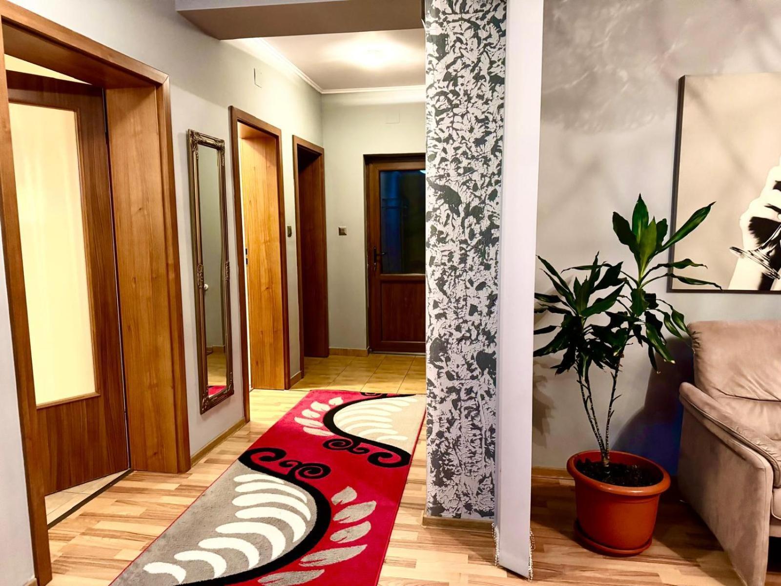 Dodi House Timişoara