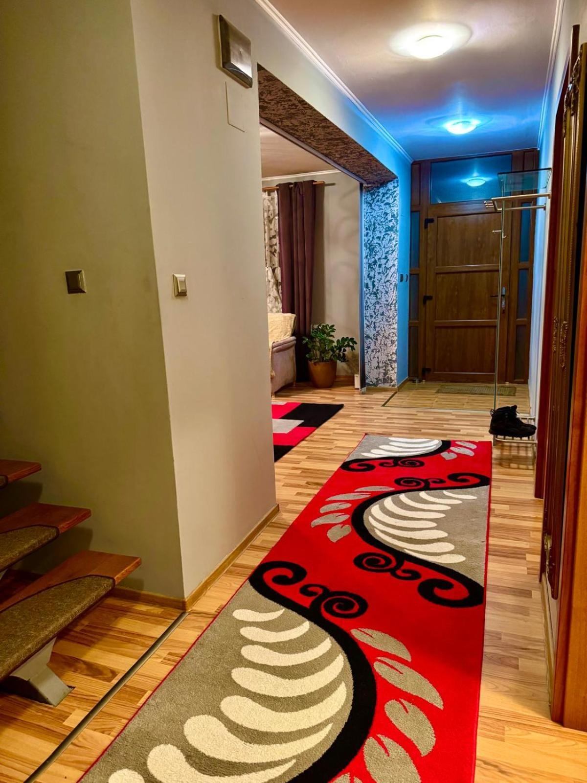 Dodi House Vilă Timişoara