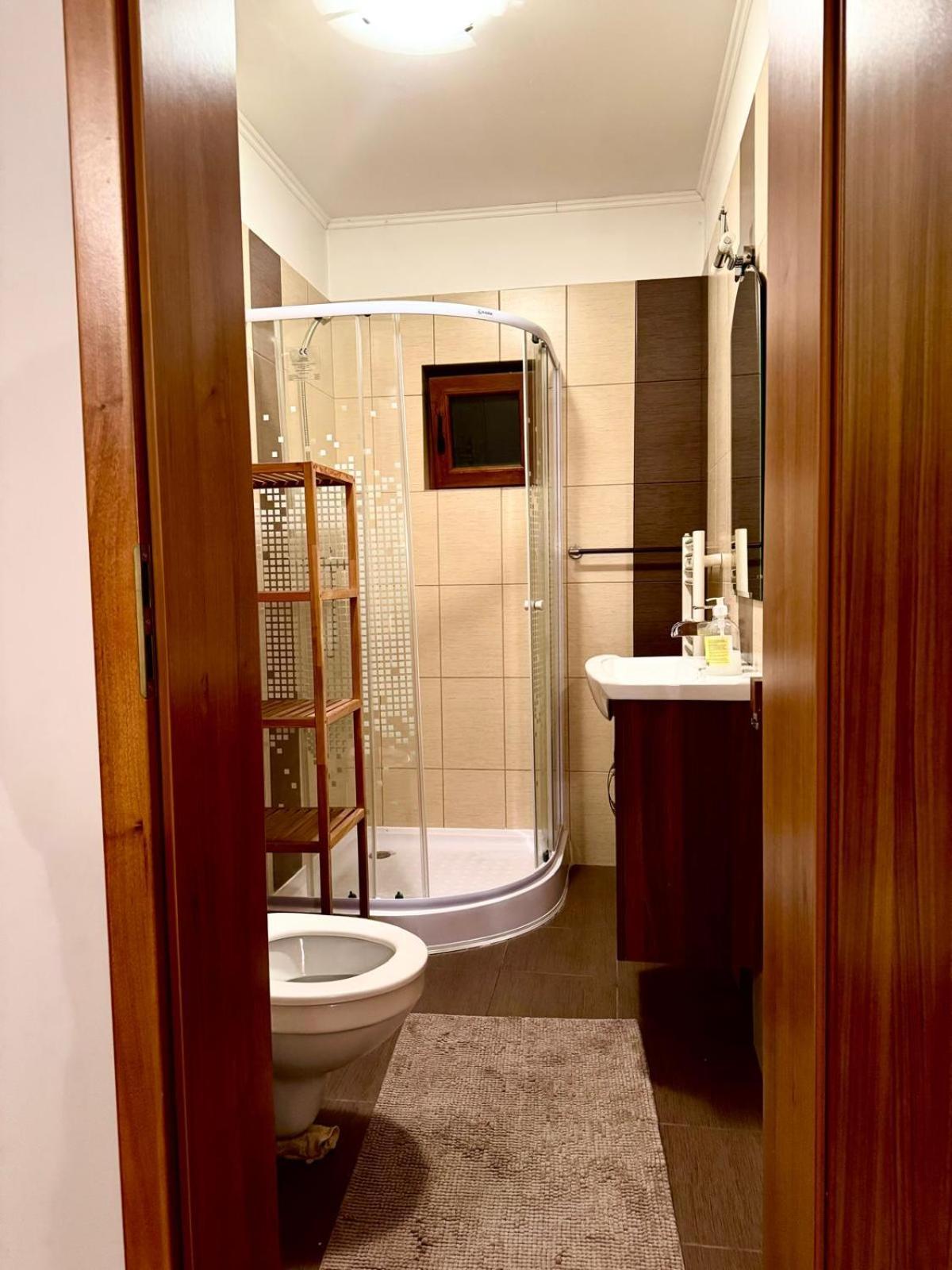 Vilă Dodi House Timişoara